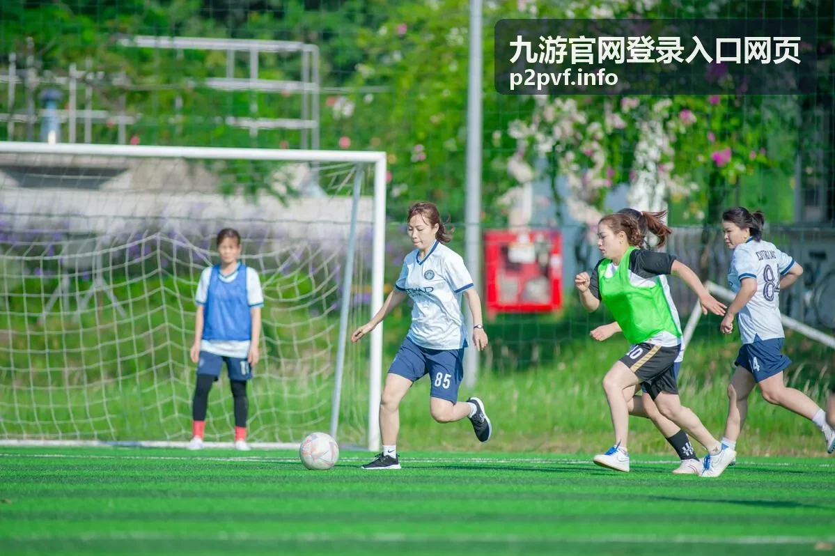 九游官网登录入口网页的官方入口识别要点图示