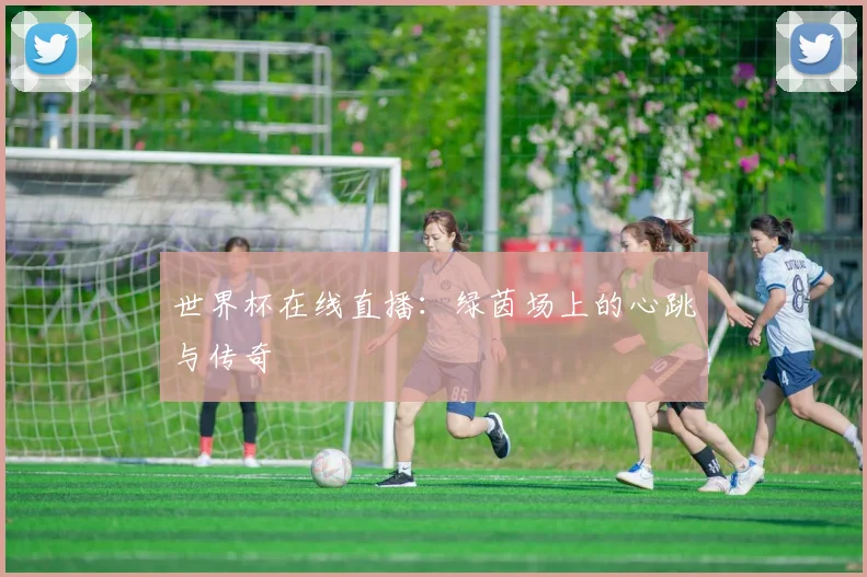 世界杯在线直播：绿茵场上的心跳与传奇