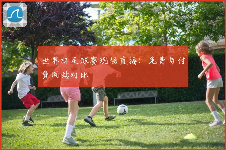 世界杯足球赛现场直播：免费与付费网站对比