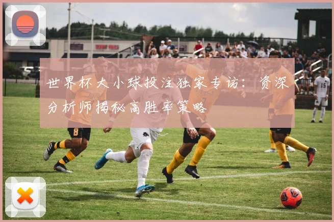 世界杯大小球投注独家专访：资深分析师揭秘高胜率策略
