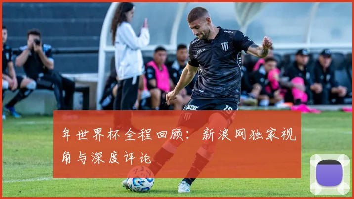 年世界杯全程回顾：新浪网独家视角与深度评论