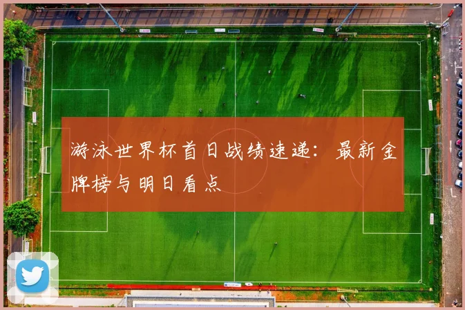 游泳世界杯首日战绩速递:最新金牌榜与明日看点