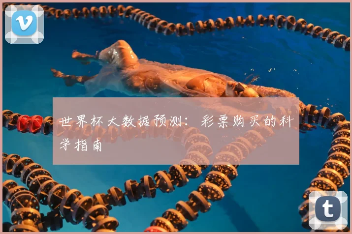 世界杯大数据预测：彩票购买的科学指南