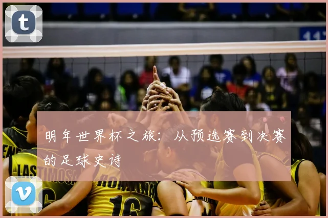 明年世界杯之旅：从预选赛到决赛的足球史诗