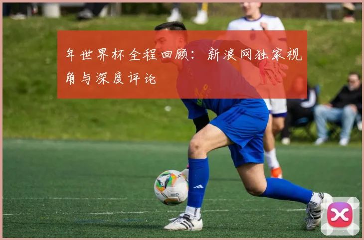 年世界杯全程回顾：新浪网独家视角与深度评论