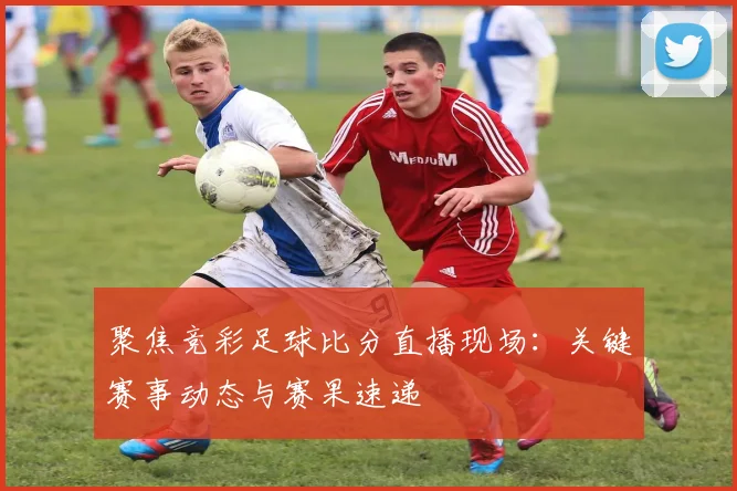 聚焦竞彩足球比分直播现场：关键赛事动态与赛果速递