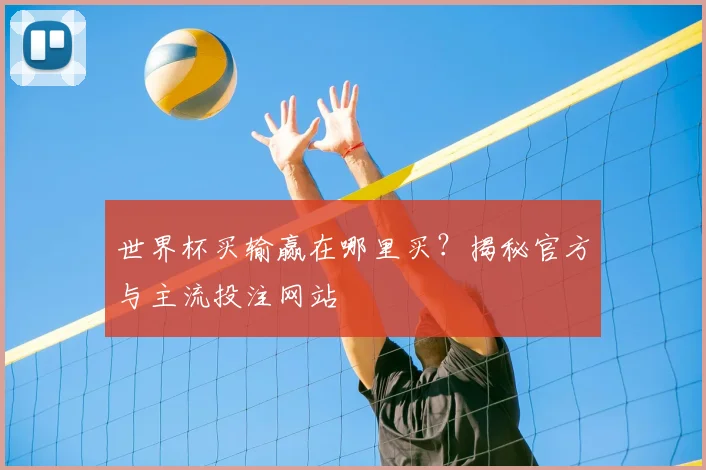 世界杯买输赢在哪里买？揭秘官方与主流投注网站