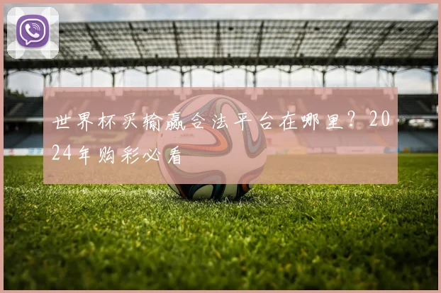 世界杯买输赢合法平台在哪里？2024年购彩必看