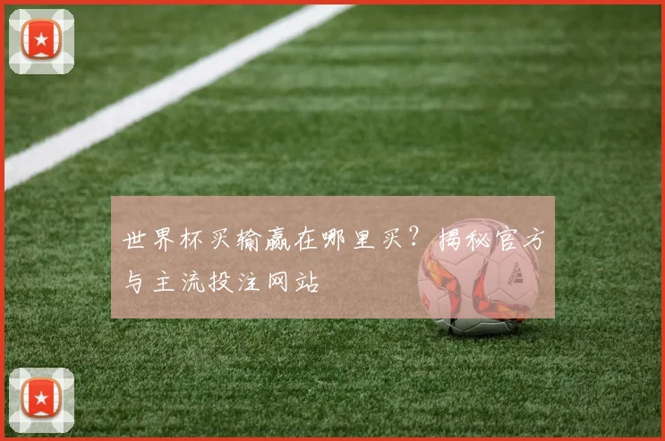 世界杯买输赢在哪里买？揭秘官方与主流投注网站