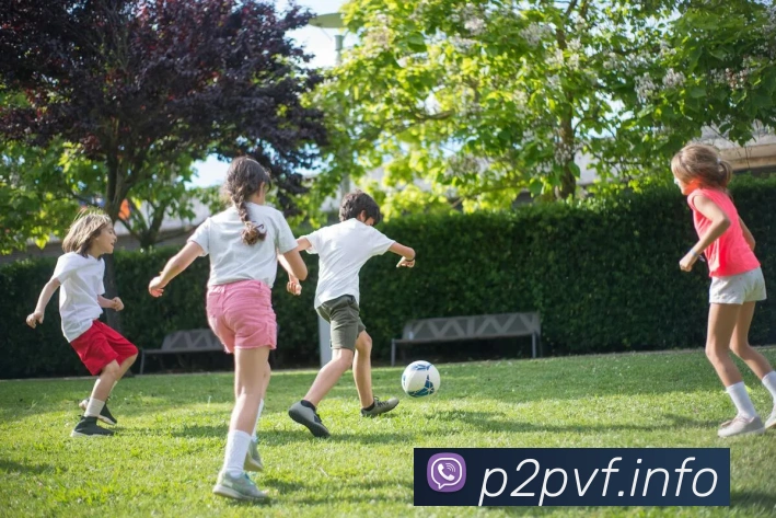 九游体育在线平台平台生态图